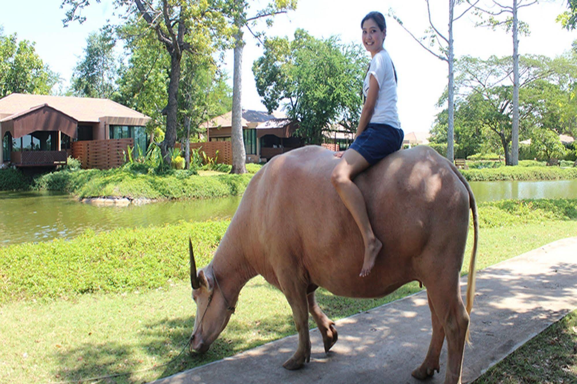 Wishing Tree Resort, Khon Kaen Bagian luar foto